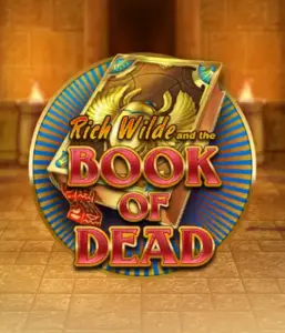 Embark on the thrilling world of Book of Dead Slot by Play'n GO, presenting vivid graphics of Rich Wilde’s adventurous journey through ancient Egyptian tombs and artifacts. Find lost riches with engaging mechanics like free spins, expanding icons, and a gamble option. Ideal for adventure seekers with a desire for exciting finds.